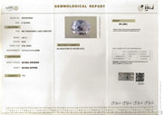 4.97/CT Natural Blue Sapphire with Govt Lab Certificate-16625S208563